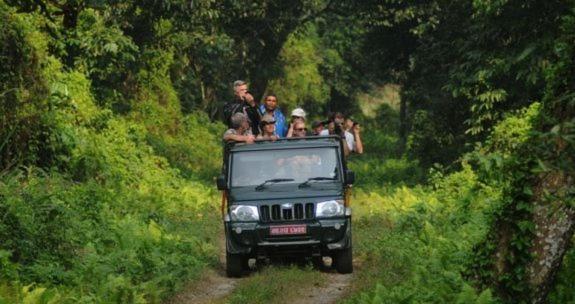 Hotel Royal Safari Chitwan Exterior photo