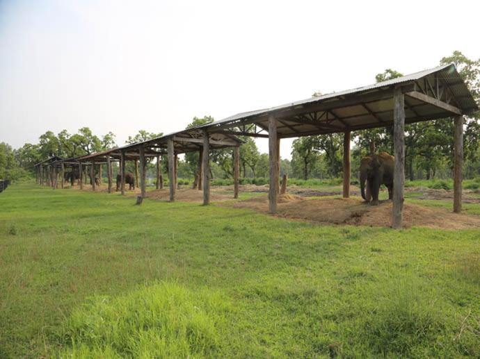 Hotel Royal Safari Chitwan Exterior photo